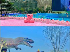 -海合安成都极地海洋公园