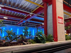 -肥肥虾庄·金牌油焖大虾(杨园滨江时代walk店)