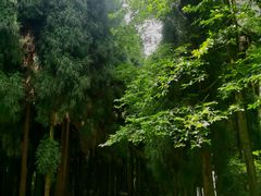 -太阳湾风景区