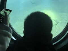 -白鹤梁水下博物馆