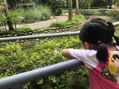 -广东茂名森林公园