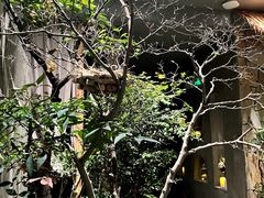 -森SPA·泰式按摩·精油Massage(宝安中心店)