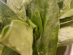 -呷哺呷哺(融创茂店)