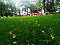 -四川大学(望江校区)