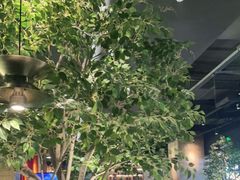 -同仁四季椰子鸡(海岸城天利店)