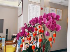 -土豆口腔(凤凰北总店)