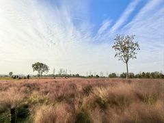 -汉长安城未央宫国家考古遗址公园