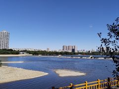 -长白岛森林公园