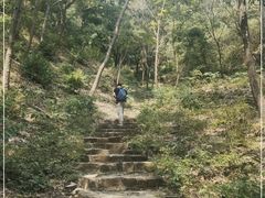 -老象峰