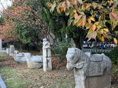 -淮安市博物馆