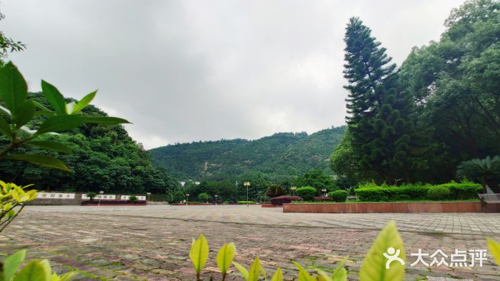 重庆文理学院(星湖校区)图片