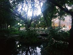 -成都市活水公园