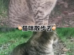 -上海大学(嘉定校区)