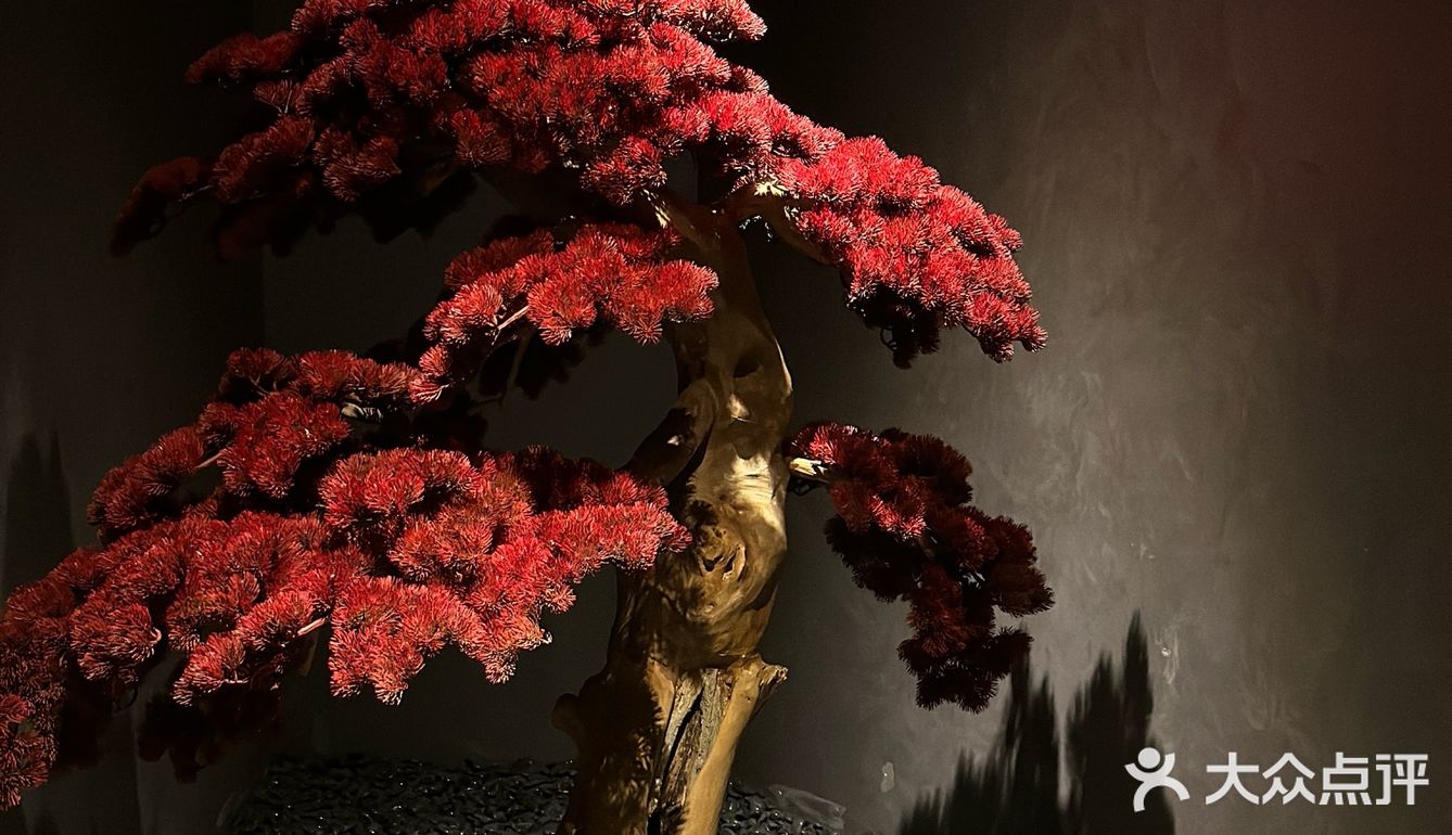 🍜ᑒ開動啦.ᐟ和饭搭子念念不忘omakase