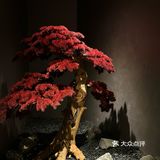 🍜ᑒ開動啦.ᐟ和饭搭子念念不忘omakase