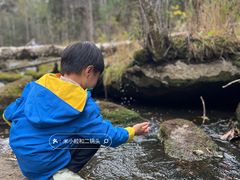 -汤旺河林海奇石景区