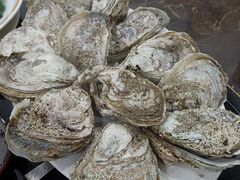-蚝专家(北滘店)