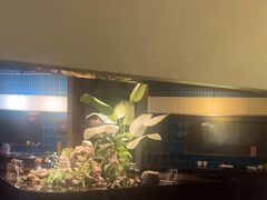 -映像威海·威海宴(威高广场店)