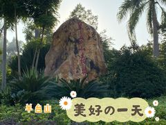 -阳台山森林公园
