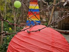 -桃源山庄·水蜜桃采摘·柴火鸡·烧烤团建(龙泉山店)