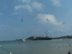-海驴岛(荣成市)