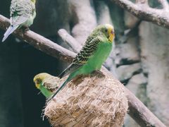 -zoonana室内动物园(东方福来德店)