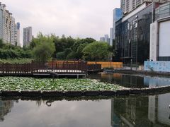 -苏州河梦清园环保主题公园