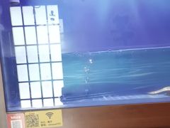 -隐月· 㐂和食屋(芝罘万达公馆店)