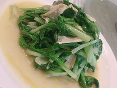 清炒鸡毛菜-西湖春天•老字号杭州菜(百汇店)