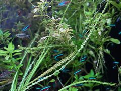 -上海海洋水族馆