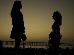 -宝安西湾红树林湿地公园