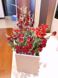 -舒雅母婴护理中心(天虹中心)