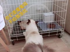 -康成宠物医院24H·CT·核磁共振