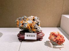 -北京中医药大学-中医药博物馆