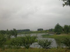 -东郊湿地公园