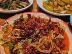 -柴窝堡22号辣子鸡·传承新疆菜