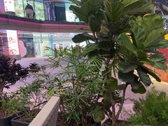 -一沙一城·岩烤牛扒(深圳首店)