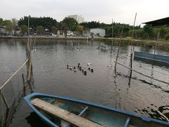-新合益乡村农庄