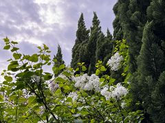 -白塘生态植物园