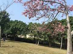 -风云岭森林公园