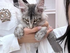 -無弓射箭俱乐部(领展中心城店)