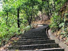 -火炉山森林公园