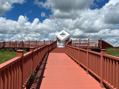 -御道口草原森林风景区