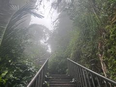 -七仙岭温泉国家森林公园