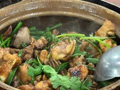 -华仔土鸡店(高边店)