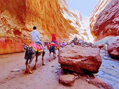 -天山神秘大峡谷