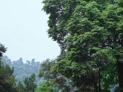-凤栖山