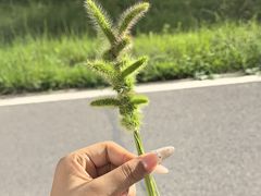-怀来官厅水库