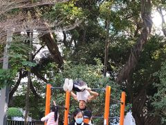 -四海公园(南山区)