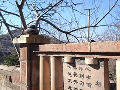 -陈炉古镇